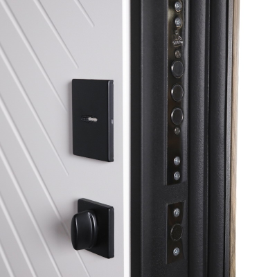 Стальная дверь   Бастион  (адаптивная замковая часть). Заказная