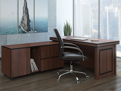 Кабинет руководителя Bern