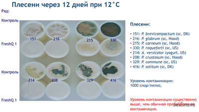 Тест 2 с FRESH Q