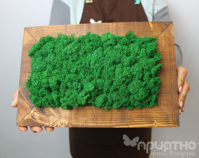 ЖИВАЯ ЭКО-КАРТИНА 1046