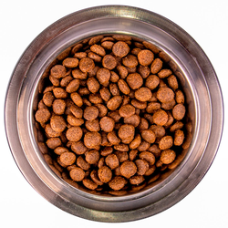 Monge Dog Speciality Line Light (Монж) для взрослых собак всех пород, низкокалорийный, лосось с рисом 2,5 кг