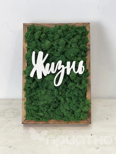 ЖИВАЯ ЭКО-КАРТИНА 1051