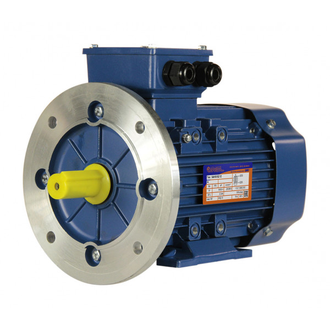 Электродвигатель 5АИ 80B8 (0,55 кВт) IM 2081