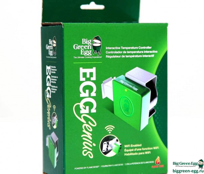BIG GREEN EGG WIFI EGG GENIUS