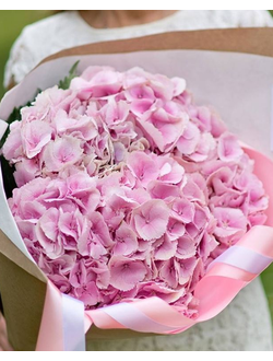 5 розовых гортензий