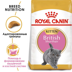 Royal Canin (Роял Канин) British Shorthair Kitten Сухой корм для британских короткошерстных котят в возрасте до 12 месяцев, 400 г