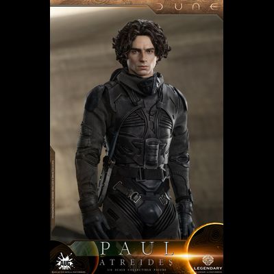 Пол Атрейдес (Тимоти Шаламе, &quot;Дюна&quot;) - Коллекционная ФИГУРКА 1/6 scale Dune Paul Atreides (DL003) - AUG TOYS