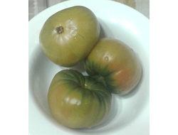 Семена томата Золото Чероки Грин