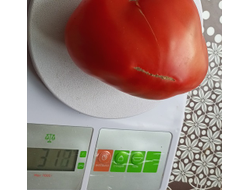 Томат Страстное сердце Энтони (Anthony's Passionate Heart)