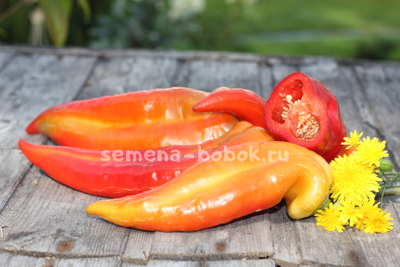 Перец сладкий Банановый десерт, 10 шт.