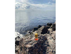 Масло АККОРД: ПРИКОСНОВЕНИЯ, 2.5 мл