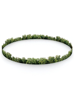 Деревья на горизонте