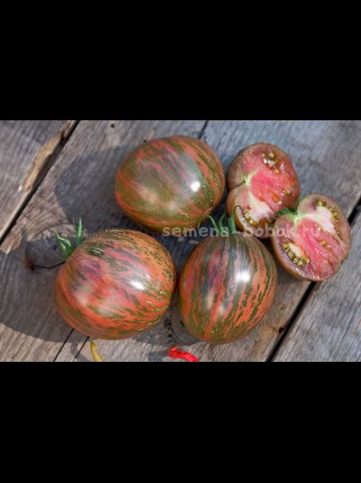 Томат Rebel Starfighter Blaine&#039;s Moonlight (Восставший Звездный Истребитель Лунный Свет Блэйна) , 10 шт