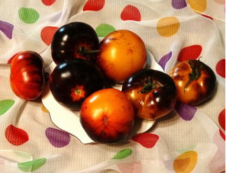 Семена томата Люсид джем