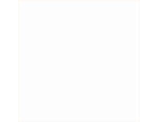 monokolor plitka 10h10 monocolor