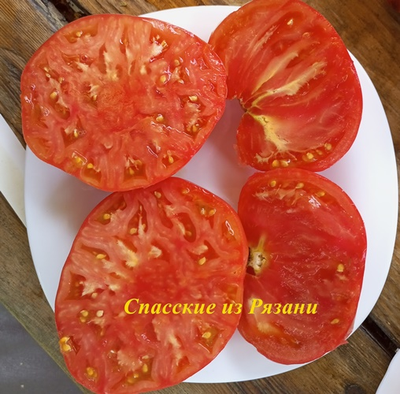 Томат Спасские из Рязани