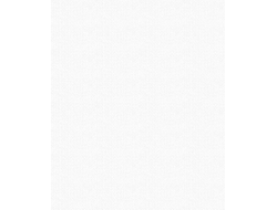 Обои В223-00 "Овация фон"/0,53*10м [56140]