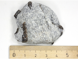 Ставролит, сросток кристаллов "косой крест" на сланце, Россия, Кольский п-ов (50*42*15 мм, 37 г) №26074