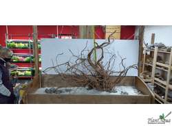 Фотографирование 1 позиции (3 товара данной позиции на выбор)