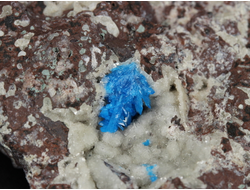 Кавансит, кристаллы на породе, Индия (49*44*17 мм, 37 г) №28639