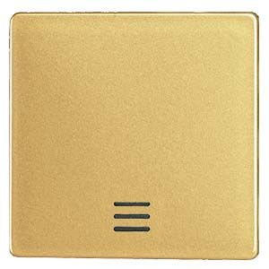 5TG6220-0 DELTA I-SYSTEM ЯНТАРЬ ВЫКЛЮЧАТЕЛЬ 1 КЛАВИША С ОКНОМ 55X55MM