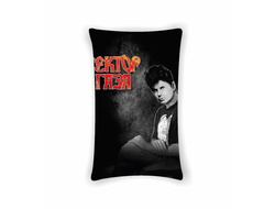 Подушка Сектор Газа, Юрий Хой №58