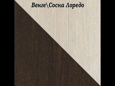Шкаф платяной ШП600 Ника (Эра)