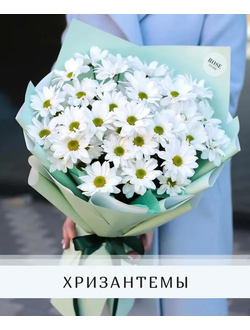 Хризантемы