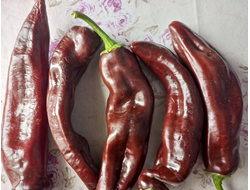 Перец сладкий Палермо шоколадный (Palermo Сhocolony, Италия)