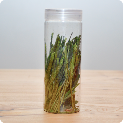 Хоу Куй, «Вожак обезьян»