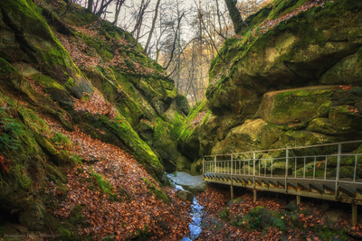 Краснодар! Парк Галицкого