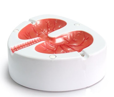 Необычная пепельница