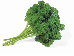 Петрушка листовая кудрявая Петра, 6 шт