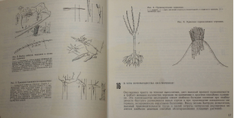 Виденов Б.,Ковачев Г.,Манов С. 700 советов садоводу-любителю. София: Земиздат. 1978г.