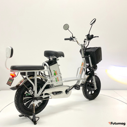 Электровелосипед GreenCamel Транк Монстр (R16FAT 800W 60V20Ah) гидравл. тормоз