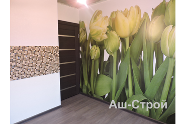 КАПИТАЛЬНЫЙ РЕМОНТ ОДНОКОМНАТНОЙ КВАРТИРЫ, г. Подольск, ул. Колхозная