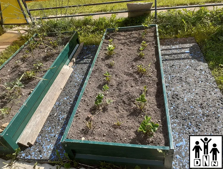 Дорожки для грядок между грядка