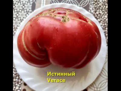 Томат Истинный (Verace, Италия)