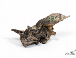 SwetAqua Chinese Sunken S - Натуральная коряга "Китайская затонувшая" S 20-35 см