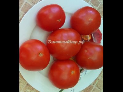 Томат Сент-Пьер (Saint Pierre), Франция