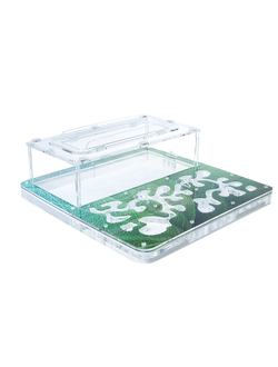 Комплект муравьиной фермы 4ants Antrum XL зеленый  с муравьями Messor Structor