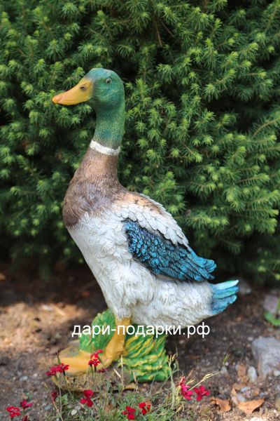 Селезень - красавец 40*28см полистоун Россия 1675/012564*
