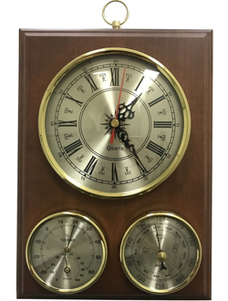 Метеостанция Бриг БМ93301-Ч(ТГ)Б-В