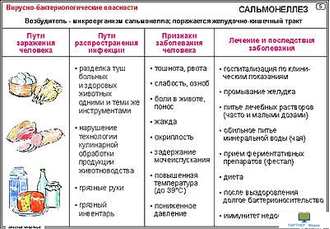 Опасные животные  (15 шт), комплект кодотранспарантов (фолий, прозрачных пленок)