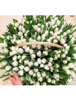 Большая корзина 301 белый тюльпан