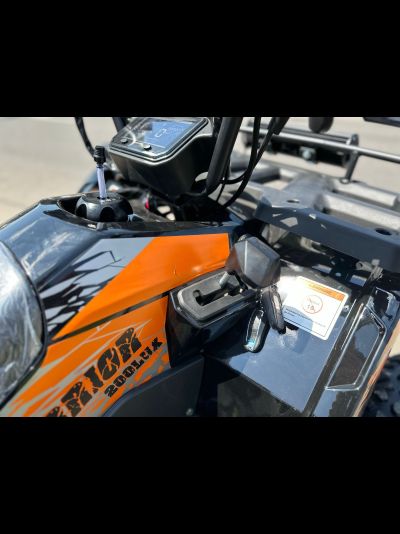 Квадроцикл TAO WARRIOR 200 Оранжевый