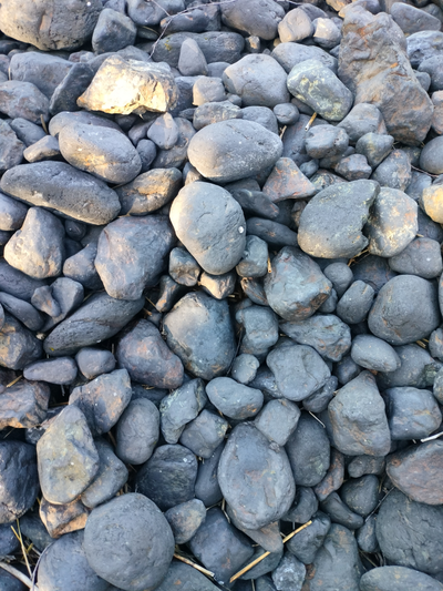 Прогулка на катере «Шунгитовый пляж»