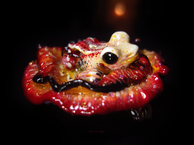 "Пламенная феюшка-лягушка", коллекционная мини-брошь (4 см)