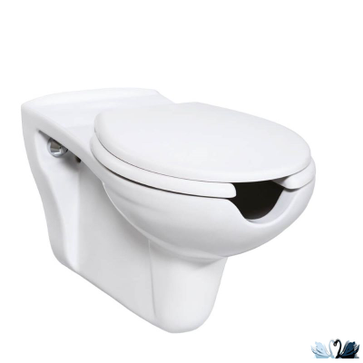 Унитаз CREAVIT BD320-11CB00E-0000, подвесной, белый, для людей с ограниченными возможностями