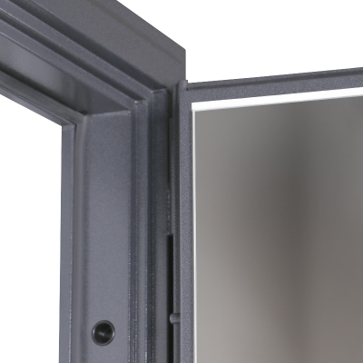 Стальная дверь    Беркут с зеркалом